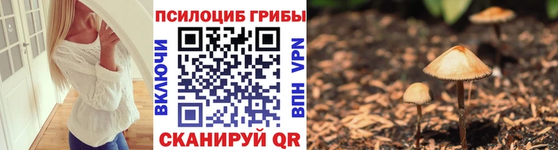 Псилоцибиновые грибы Psilocybe  где найти   Питкяранта 