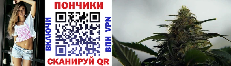 Каннабис план  закладки  Питкяранта 